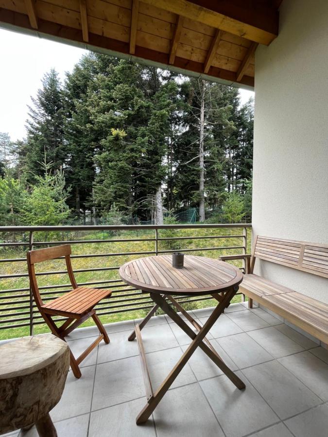 Apartmán "Les Oiseaux" Avec Terrasse, Parking, Duplex Le Chambon-sur-Lignon Exteriér fotografie