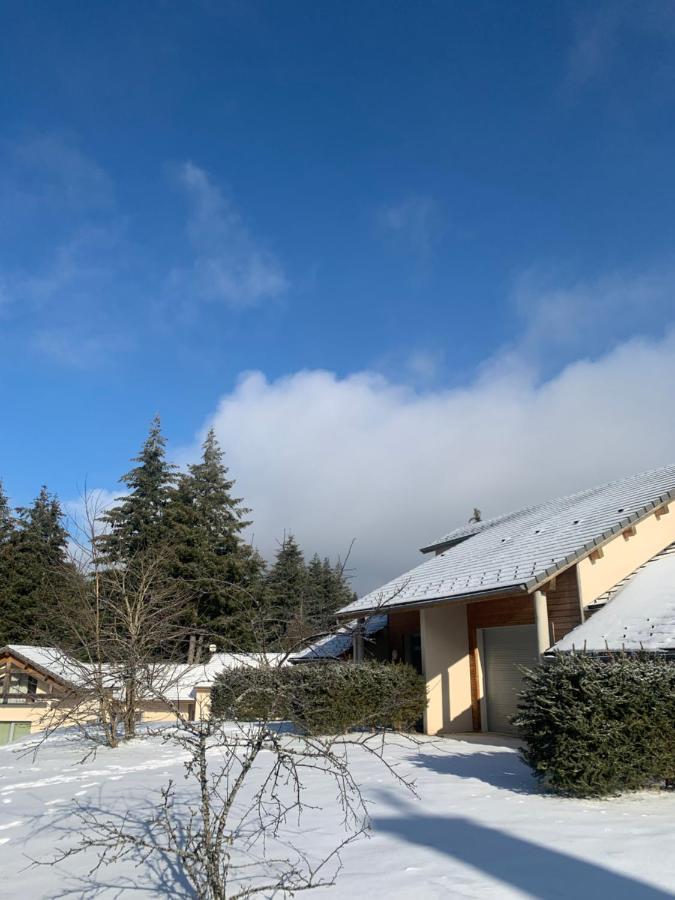 Apartmán "Les Oiseaux" Avec Terrasse, Parking, Duplex Le Chambon-sur-Lignon Exteriér fotografie