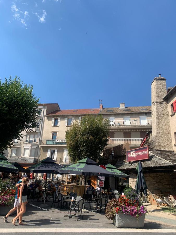 Apartmán "Les Oiseaux" Avec Terrasse, Parking, Duplex Le Chambon-sur-Lignon Exteriér fotografie