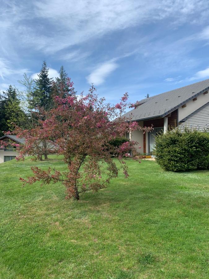 Apartmán "Les Oiseaux" Avec Terrasse, Parking, Duplex Le Chambon-sur-Lignon Exteriér fotografie
